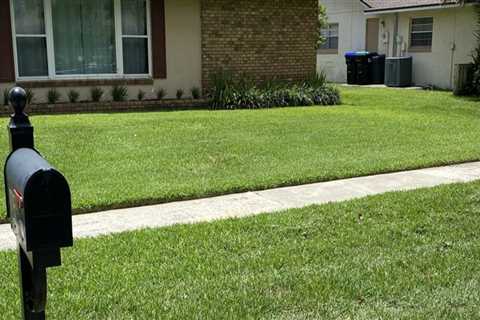 Lawn Pest Control In Orlando: The Hidden Key To Curb Appeal And Home Value