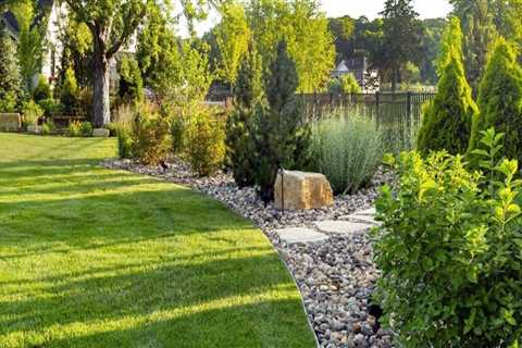 Keep Your Landscaping Trees Healthy Year-Round With A Winter Garden Irrigation Contractor