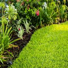 How An Irrigation Contractor Can Enhance Your Seasonal Landscaping In Greater Orlando
