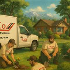Salt Lake City Utah Landscaper