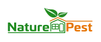 Bora Care With Mold Care Service To Control Wood Decay Fungi In South Florida | NaturePest
