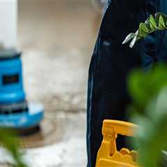 First Impressions Matter: The Value of Professional Commercial Cleaning