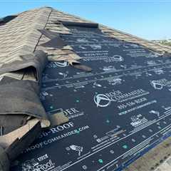 Storm Damage: 6 Immediate Steps Florida Homeowners Should Take