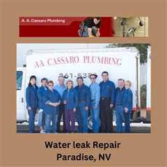 Water leak Repair Paradise, NV