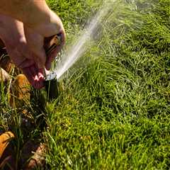 Why Homeowners Should Prioritize Lawn Sprinkler System Maintenance In Portland