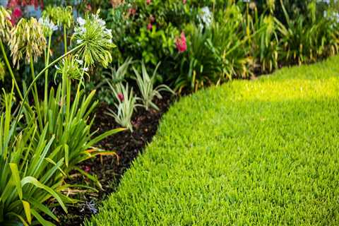 How An Irrigation Contractor Can Enhance Your Seasonal Landscaping In Greater Orlando