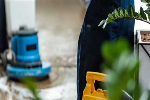 First Impressions Matter: The Value of Professional Commercial Cleaning