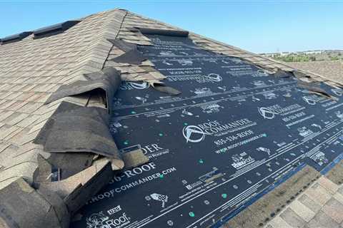 Storm Damage: 6 Immediate Steps Florida Homeowners Should Take