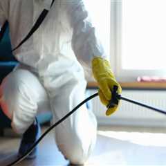 Why Pest Control Companies In Fayetteville, GA Recommend Regular Treatments For Homes With Hardwood ..