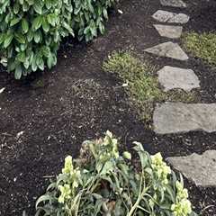 Stump Grinding Is Done: Now It’s Time To Transform Your Yard With A Landscape Designer In Damascus, ..