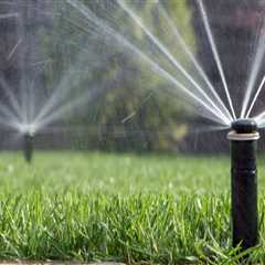 Boost Your Winter Garden Lawn: How Sprinkler System Landscaping Supports Seasonal Tree Care Services