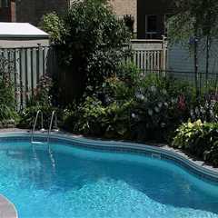 Why Every Landscape Architect In Peoria Recommends Pool Cleaning Acid Wash For Stunning Outdoor..