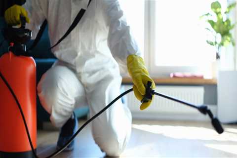 Why Pest Control Companies In Fayetteville, GA Recommend Regular Treatments For Homes With Hardwood ..