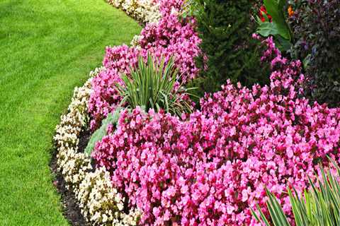 Lawn Care In Orange Park, FL: The Key To Seamless Groundskeeping