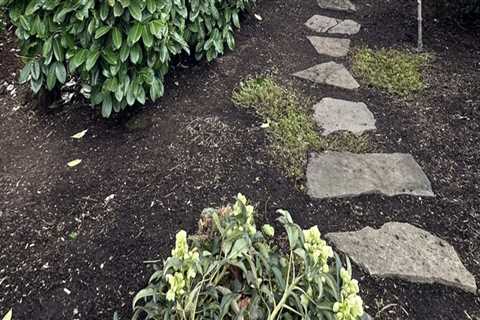 Stump Grinding Is Done: Now It’s Time To Transform Your Yard With A Landscape Designer In Damascus, ..