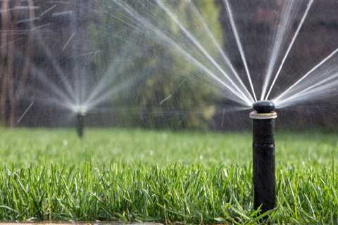 Boost Your Winter Garden Lawn: How Sprinkler System Landscaping Supports Seasonal Tree Care Services