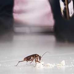 Keep Your Fayetteville Yard Beautiful And Pest-Free: The Benefits Of Combining Rodent Control With..