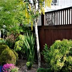 Residential Landscaping Ideas to Transform Your Home’s Exterior