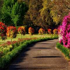 Presale Home Renovations Start Outside: Why Lawn Care In Derry, NH Matters Most