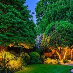 Creating Beautiful Portland Landscapes: The Benefits Of Professional Tree Care Services And Design..