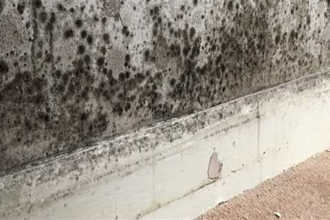 The Connection Between Energy Efficiency Upgrades and Mold Growth Risks