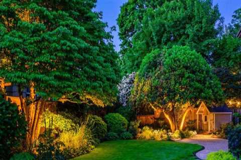 Creating Beautiful Portland Landscapes: The Benefits Of Professional Tree Care Services And Design..