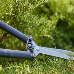 Lawn Care vs. Groundskeeping: What’s the Difference?