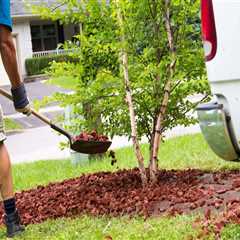 Common Groundskeeping Challenges—and How to Solve Them