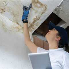 What Happens During a Mold Inspection? Step-by-Step Process Explained