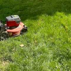 Eco-Friendly Landscaping Services: Sustainable Solutions for Greener Lawns