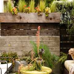 Small Yard? No Problem! Residential Landscaping Ideas for Compact Spaces