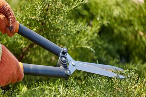 Lawn Care vs. Groundskeeping: What’s the Difference?