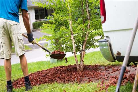 Common Groundskeeping Challenges—and How to Solve Them