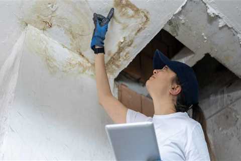 What Happens During a Mold Inspection? Step-by-Step Process Explained