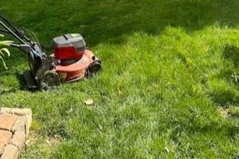 Eco-Friendly Landscaping Services: Sustainable Solutions for Greener Lawns