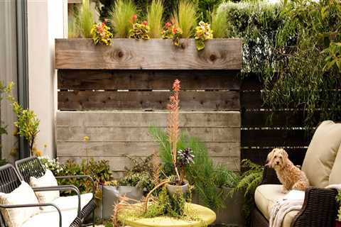 Small Yard? No Problem! Residential Landscaping Ideas for Compact Spaces