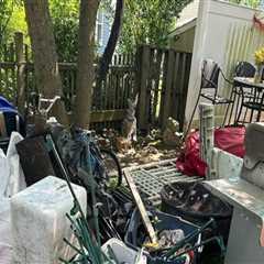 What Happens to Your Junk After It’s Hauled Away?