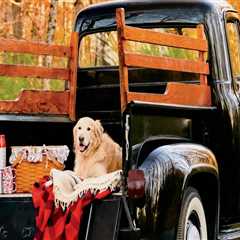 The Secret Life of a Junk Removal Crew: Strange Finds and Unexpected Stories