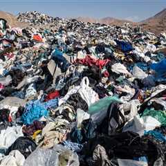 The Ethics of Disposal: What Should (and Shouldn’t) Go to Landfills