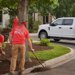 Provo Utah Landscape Maintenance | Family Law Attorney Utah