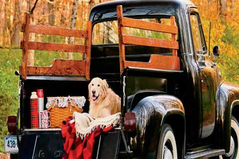 The Secret Life of a Junk Removal Crew: Strange Finds and Unexpected Stories