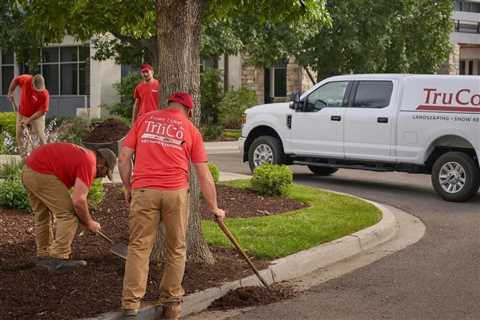 Provo Utah Landscape Maintenance: Your Complete Guide to a Healthier, More Beautiful Outdoor Space