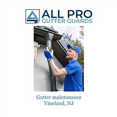 Gutter maintenance Vineland, NJ - All Pro Gutter Guards's Podcast