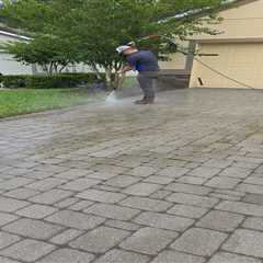 See the Difference: Real Jacksonville Paver Sealing Results - Astro Wiki