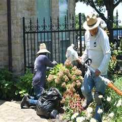 Expert Landscaping Services in Colleyville, TX