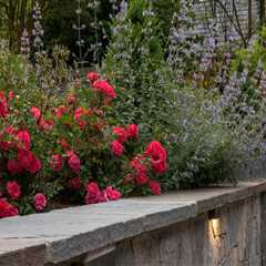 Patios, Walkways, and Walls: Essential Hardscaping Elements Explained