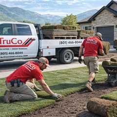 Provo Utah Sod Installation