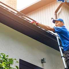 Top-rated gutter company Willow Grove, PA · Tuesday, Nov 25 📸