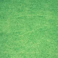 Enhancing Your Fleming Island Lawn: How Local Sod Contractors Can Work with Lawn Sprinkler Systems