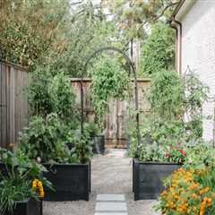 The Landscaping Repairs That Are Cheaper Before a Move Than After